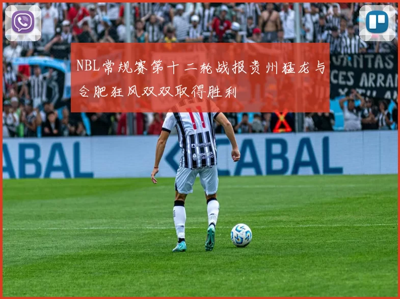 NBL常规赛第十二轮战报贵州猛龙与合肥狂风双双取得胜利